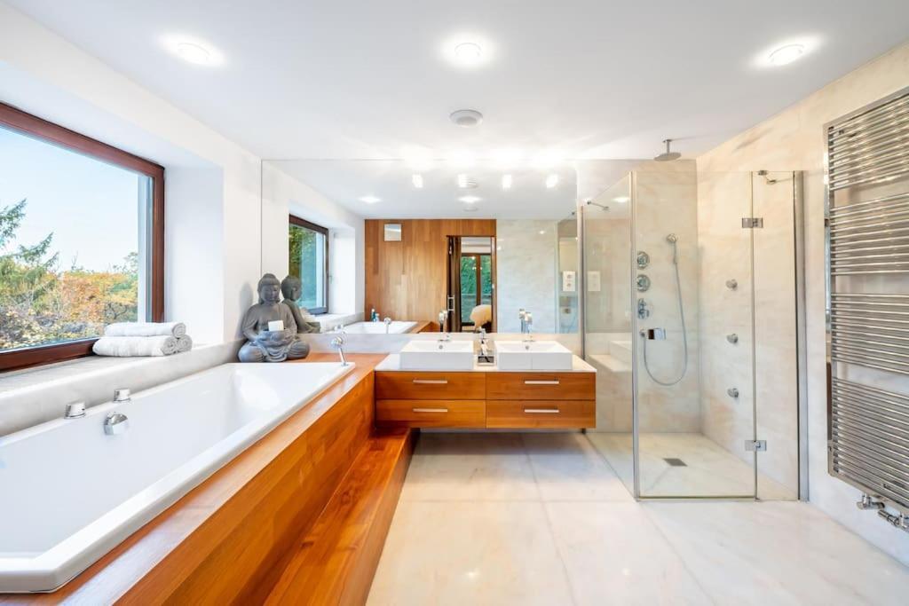 Vila Pod Habrovou Prague